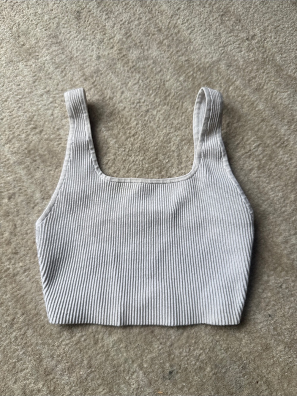 Aritzia Babaton Sculpt tank